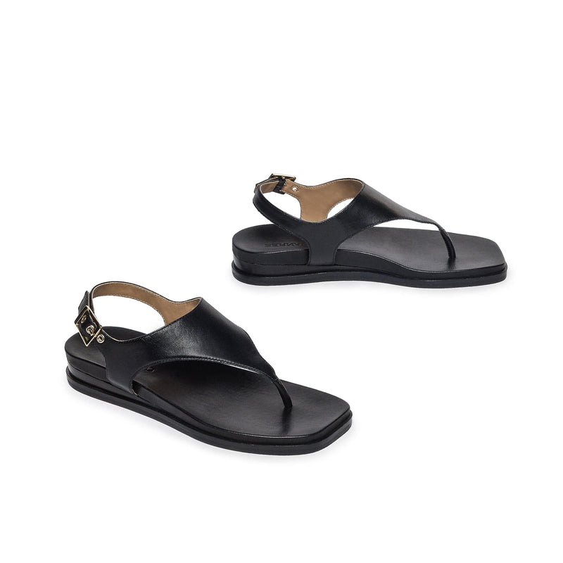 Black Women Bernardo Concord Thong Flat Sandals | VSR731BW