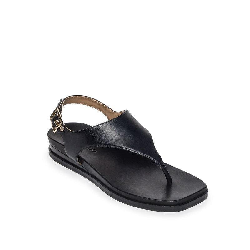 Black Women Bernardo Concord Thong Flat Sandals | VSR731BW