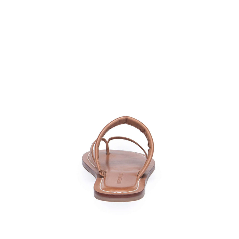 Brown Women Bernardo Leia Thong Flat Sandals | OTX856VW