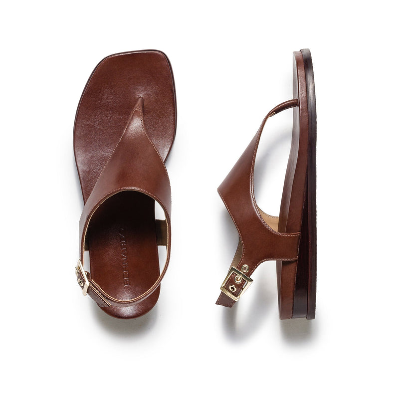 Chocolate Women Bernardo Concord Thong Flat Sandals | HHU852IF