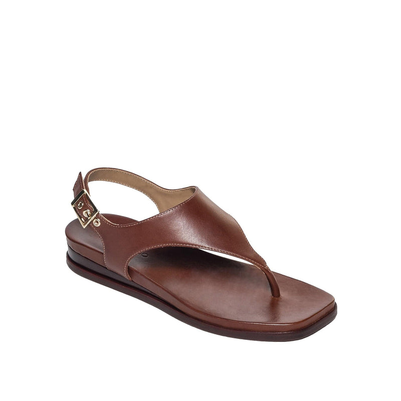 Chocolate Women Bernardo Concord Thong Flat Sandals | HHU852IF
