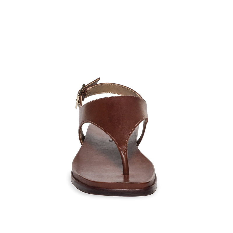 Chocolate Women Bernardo Concord Thong Flat Sandals | HHU852IF