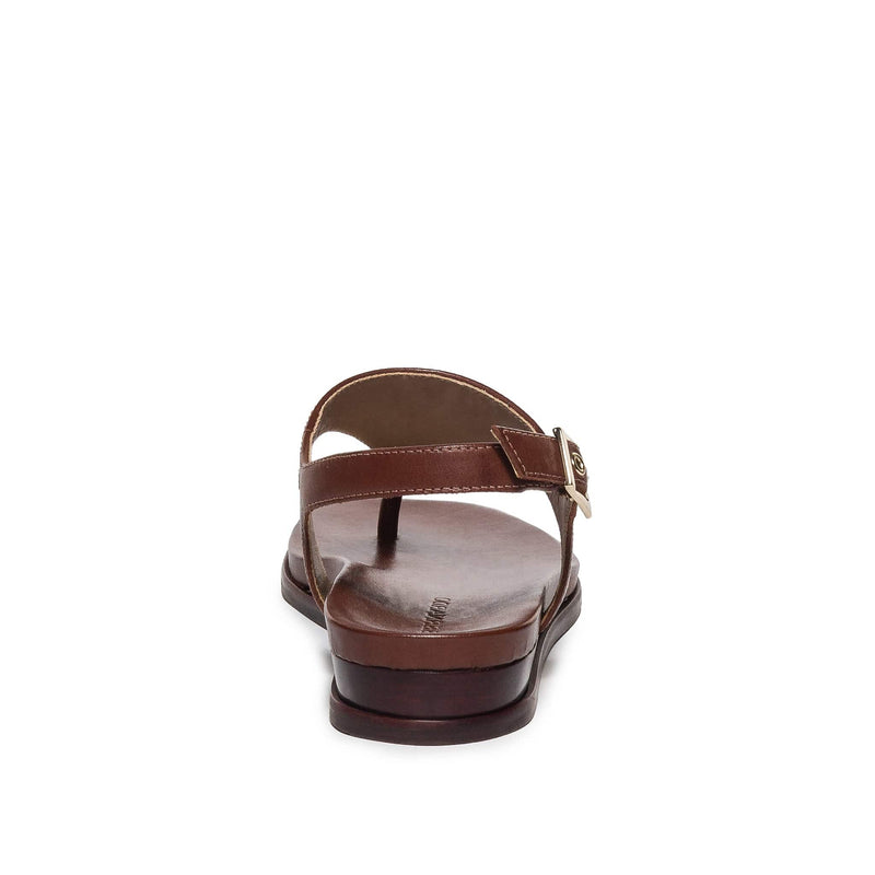 Chocolate Women Bernardo Concord Thong Flat Sandals | HHU852IF